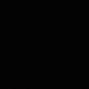 Meet your Posher, Princess